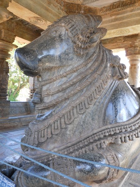 1471775_FirstNandiHalebiduTempleKarnataka.jpg - Nandi at the Hoysaleswara Temple, Halebidu.
