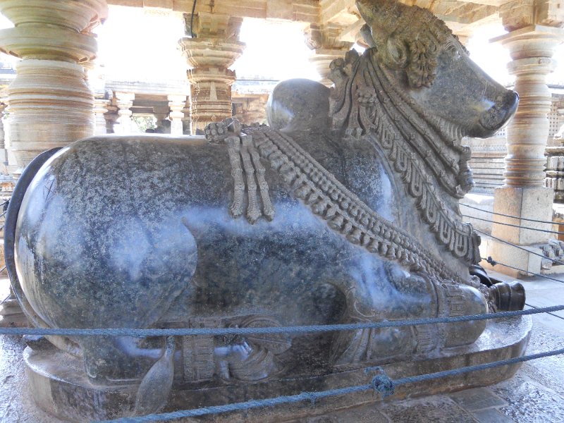 1471776_FirstNandiHalebiduTempleKarnataka.jpg - Nandi at the Hoysaleswara Temple, Halebidu.