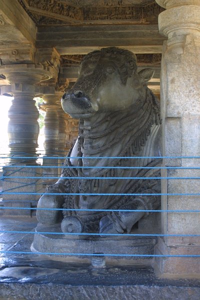 1500000_SecondNandiHalebiduTempleKarnataka.jpg - Second Nandi at the Hoysaleswara Temple, Halebidu