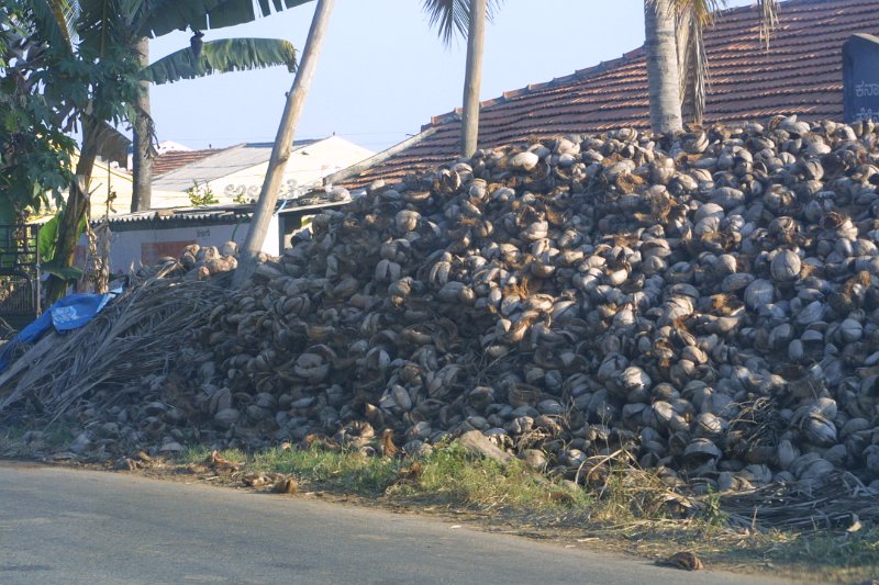 1537000_CoconutsStoredKarnataka.jpg - Piles of coconuts by the road in Karnataka.