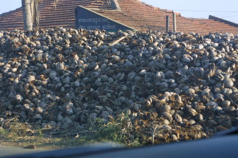 1538000_CoconutsStoredKarnataka.jpg - Piles of coconuts by the road in Karnataka.