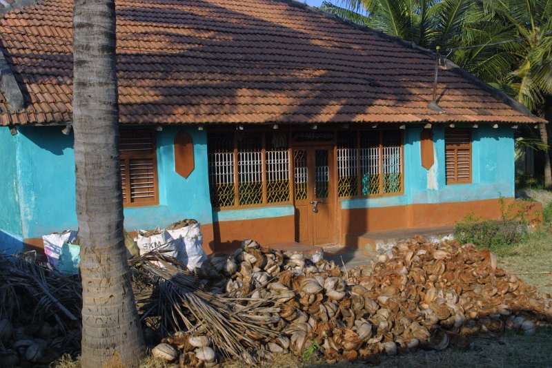 1539000_CoconutsStoredKarnataka.jpg - Piles of coconuts by the road in Karnataka.