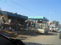 1430732_FlowersForSale