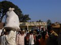 1430740_CarnivalKarnataka