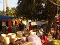 1430741_CarnivalKarnataka