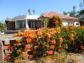 1434752_CoffeePlantationKarnataka