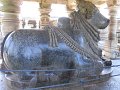 1471776_FirstNandiHalebiduTempleKarnataka