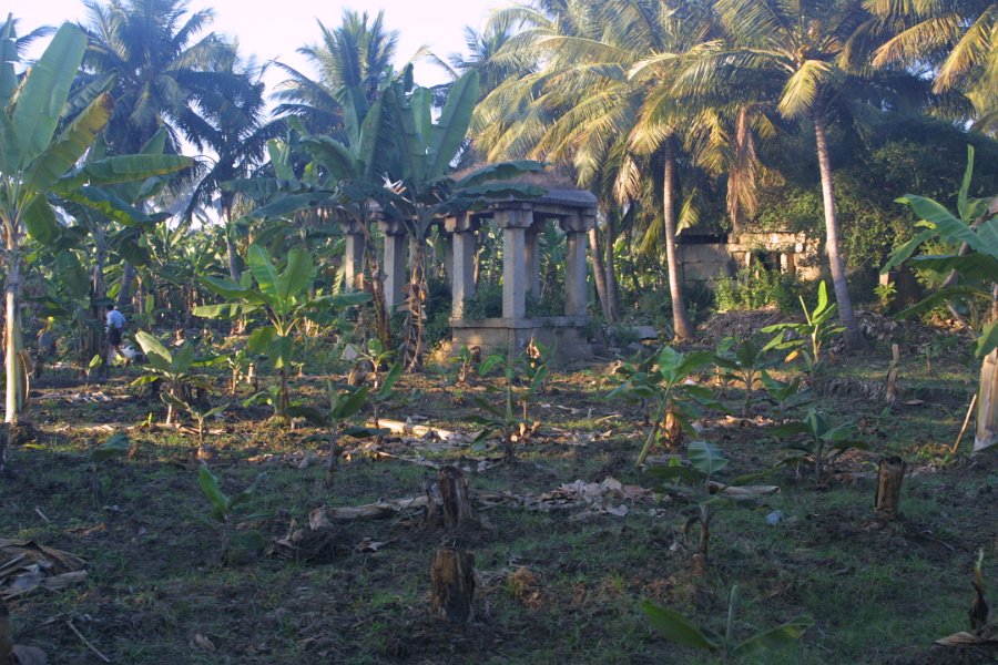 1090000_Hampi.jpg - Ruins on plantation on the way to the Mango Tree Resturant.