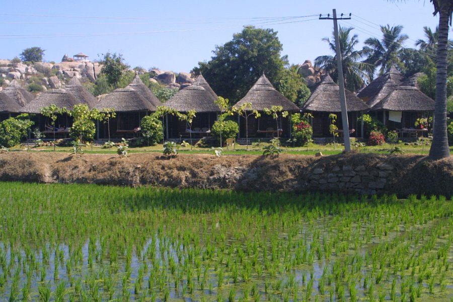 1123000_ShanthiGuesthouseHampi.jpg - The Shanthi guest House from across the rice paddi.