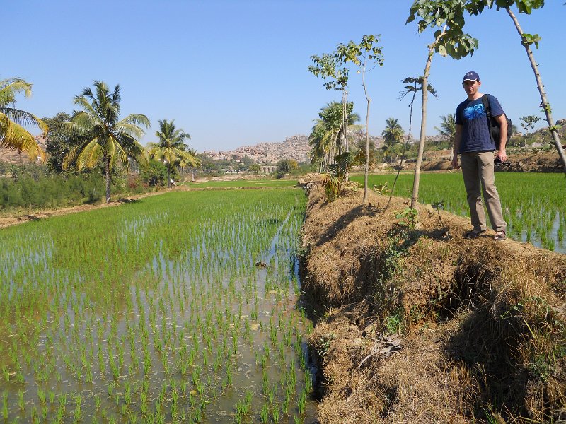 1126650_MartinInRicePaddies.jpg - Rice paddies at Hampi.