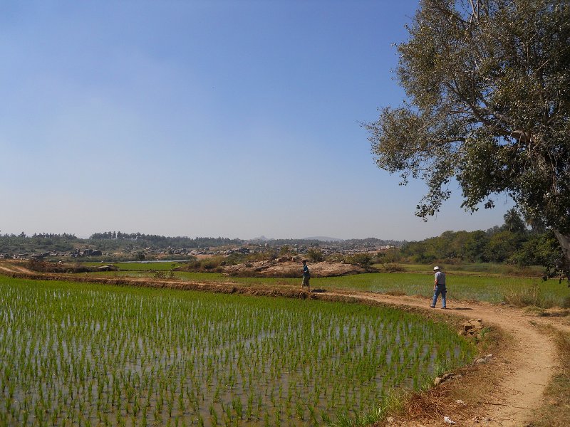 1126651_JenAndJimInRicePaddies.jpg - Rice paddies at Hampi.