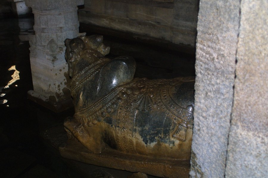1324000_NandiUndergroundSivaTempleHampi.jpg - Nandi inside the underground Siva Temple. Hampi.
