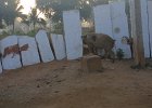 1083000_HospetHampi