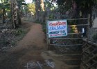 1093000_MangoTreeHampi