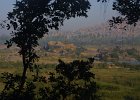 1097000_MangoTreeHampi
