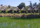 1123000_ShanthiGuesthouseHampi