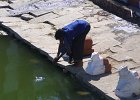 1140000_CleansingInTempleTankHampi