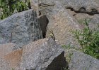 1317000_LizardHampi