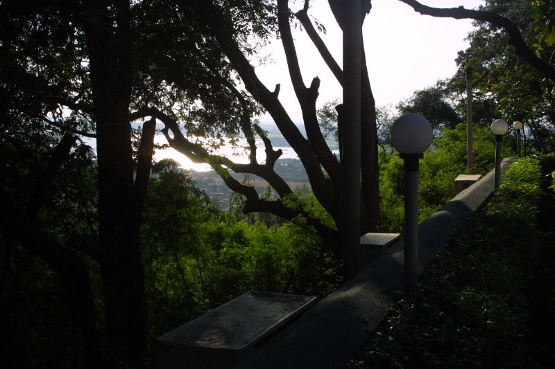 1560000_TajGardenRetreatHotelBackView.jpg - View out our back door at the Taj Garden Retreat Hotel. Madurai.