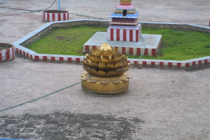 1597000_TankMeenakshiTemple.jpg - Lotus in the tank inside the Meenakshi Temple. Madurai.