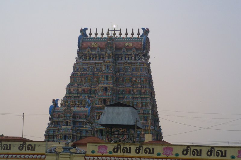 1599000_MeenakshiTemple.jpg - Inside the Meenakshi Temple. Madurai.