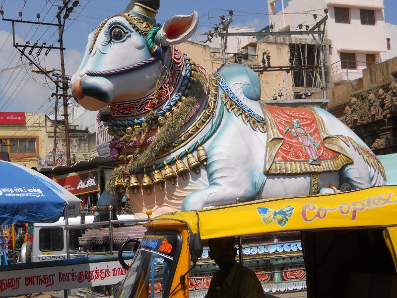 1621831_NandiMadurai.jpg - Nandi in Madurai.