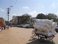 1549806_BangaloreOrMadurai