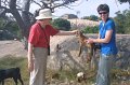1973000_KathyAndJenWithBabyGoat