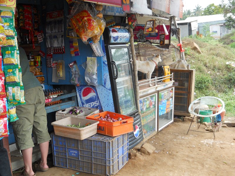 1681871_OnTheRoadTamilNadu.jpg - Jen buying cell phone minutes by the road in Tamil Nadu.