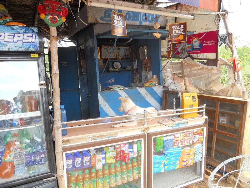 1681875_DogAtShopTamilNadu.jpg - Dog in the shop by the road in Tamil Nadu.