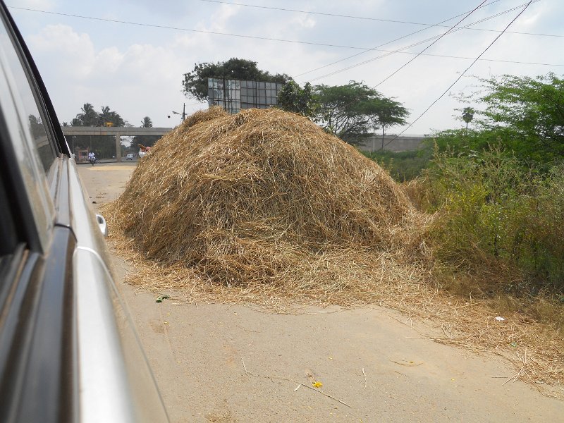 1681888_CropOnTheRoadTamilNadu.jpg - Crops piled on the road in Tamil Nadu.