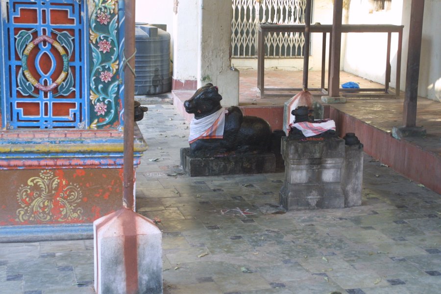 1712000_NandiAtTanjorePalace.jpg - The Tanjore Palace. Thanjavur