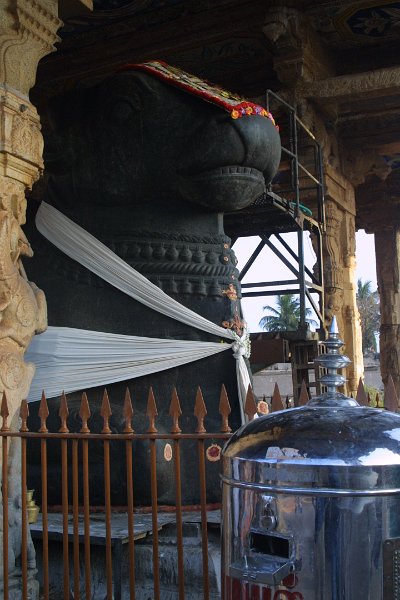 1722000_NandiAtBrihadisvaraTemple.jpg - Nandi at the Brihadisvara Temple. Thanjavur.
