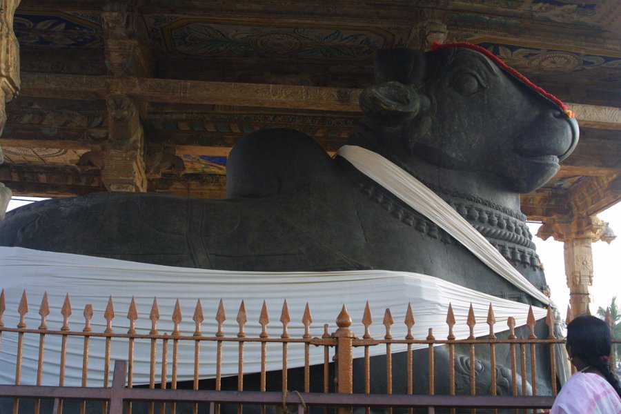 1723000_NandiAtBrihadisvaraTemple.jpg - Nandi at the Brihadisvara Temple. Thanjavur.