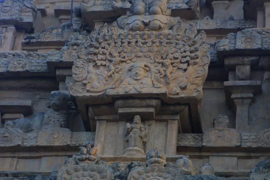 1735000_CarvingOfEuropeanAtBrihadisvaraTemple.jpg - Carving of european at the Brihadisvara Temple. Thanjavur.