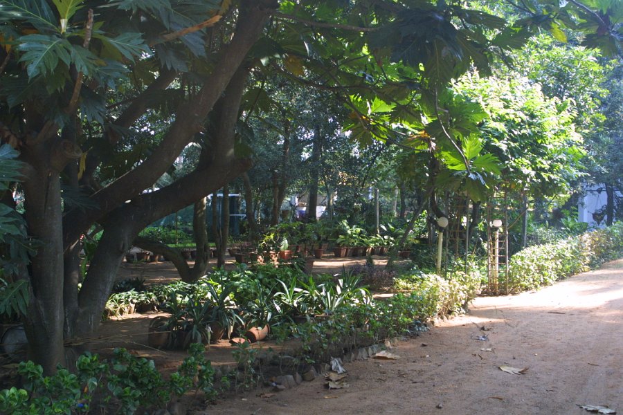 1747000_IdealRiverViewResort.jpg - The Ideal River View Resort. Thanjavur.