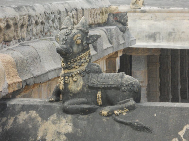 1797933_AiravateswararTemple.jpg - Nandi on the wall of a nearby temple outside the weavers house. Darasuram.