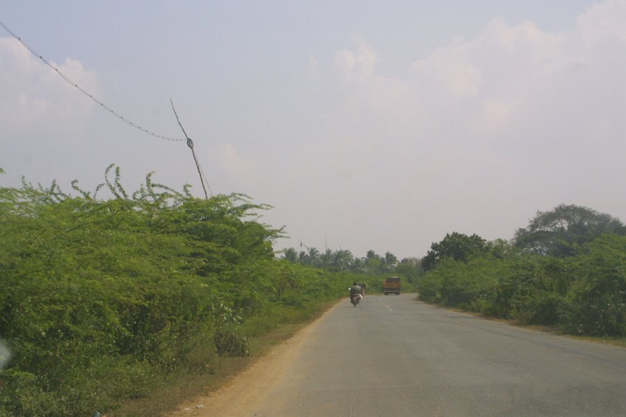 1806000_RoadToThiruchi.jpg - On the road to Thiruchi. Note the telephone poles.