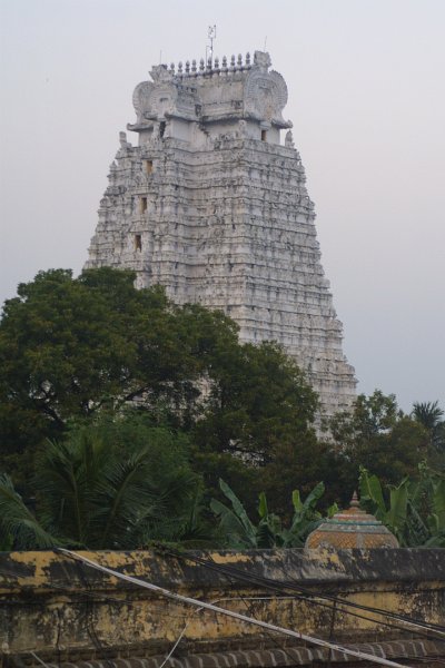 1845000_ViewFromRoofOfRanganathaswamyTemple.jpg - View of the white tower from the roof of the Ranganathaswamy Temple. Thiruchi.