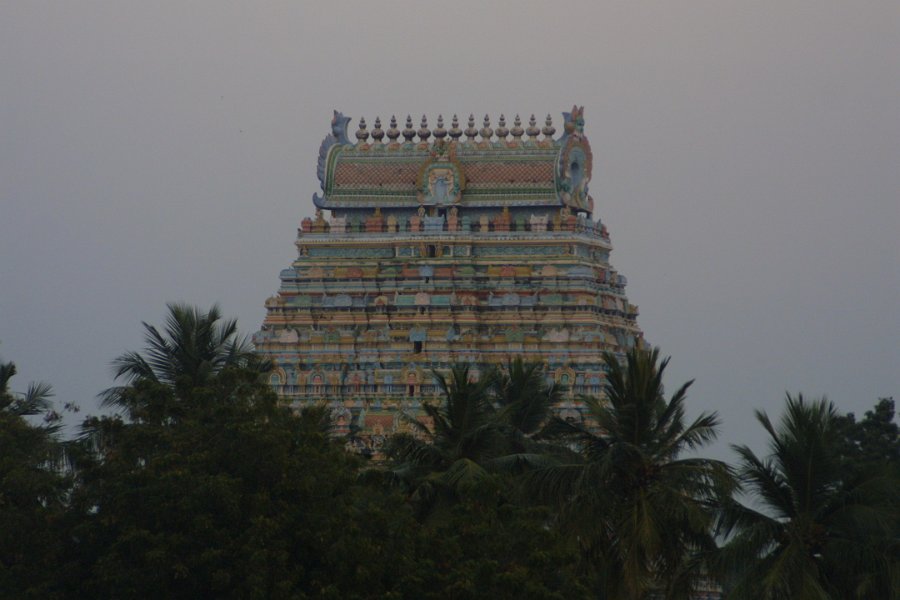 1846000_ViewFromRoofOfRanganathaswamyTemple.jpg - View from the roof of the Ranganathaswamy Temple. Thiruchi.