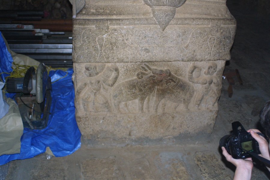 1856000_SharedHeadReliefAtRanganathaswamyTemple.jpg - Carving of cow and elephant sharing a head at the Ranganathaswamy Temple. Thiruchi.
