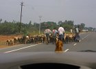 1686000_OnTheWayToThanjavur