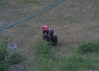 1708000_GardenerAtTanjorePalace