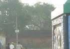 1712903_CricketBesideTanjorePalaceThanjavur