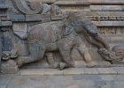 1767000_AiravateswararTemple
