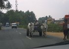 1805000_OxCart