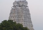 1845000_ViewFromRoofOfRanganathaswamyTemple