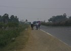 1877000_HerdingCattleBesideTheRoad