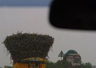 1879000_AnotherBigLoadOfSugarCane