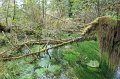 IMG_0661